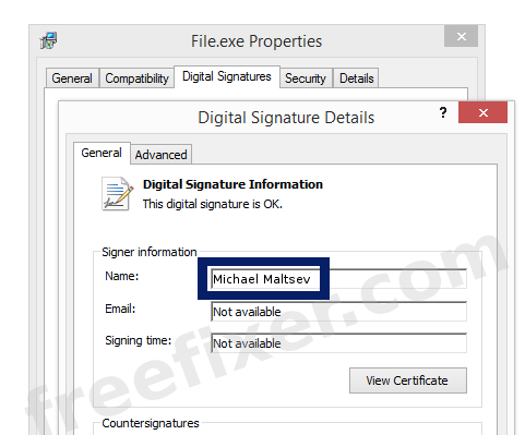 Screenshot of the Michael Maltsev certificate